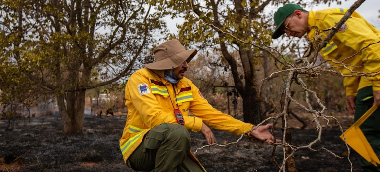 93e1199c-bb90-4551-b9e1-da0e6ff2fec5